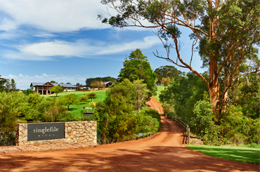 Singlefile Wines